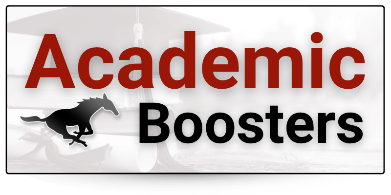Academic Boosters